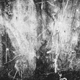Illustration for article titled 36 Tantalizing Photos Of Textures